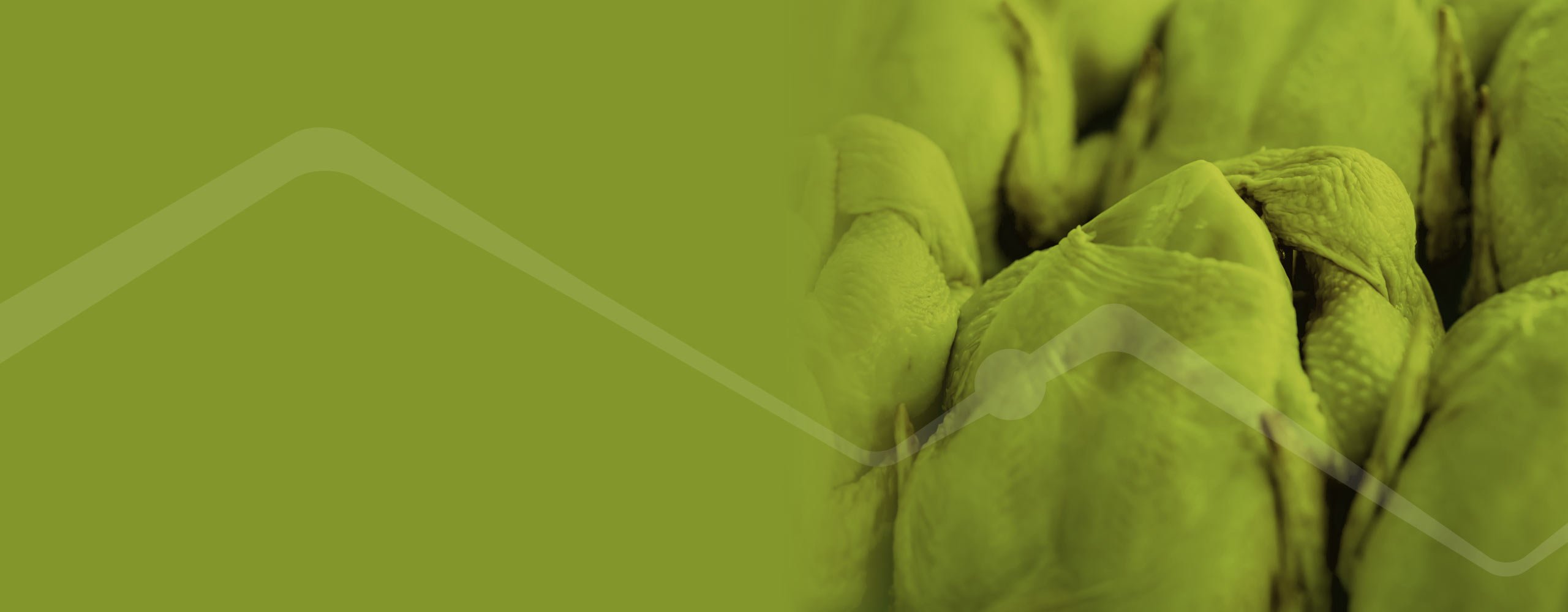 processing-poultry-cold-chain-solutions-deltatrak