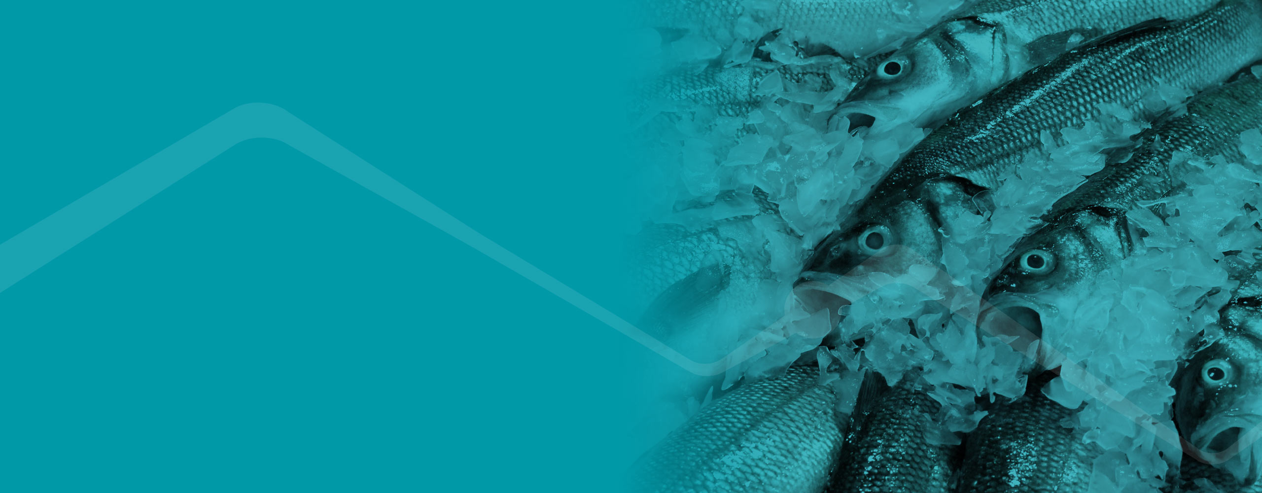 cold-storage-seafood-cold-chain-solutions-deltatrak