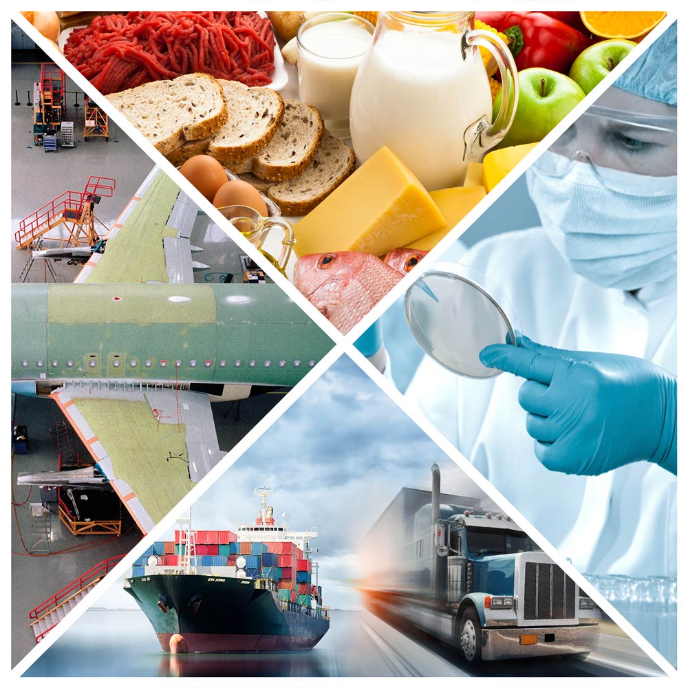 Overview of DeltaTrak solutions and services